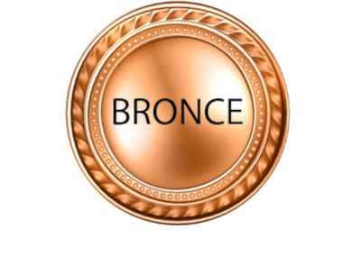Plan Bronce
